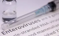 Chủng virus Enterovirus 71 (EV71) gây bệnh tay chân miệng nguy hiểm như thế nào?