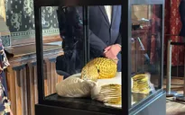 Hà Lan thu hồi mũ vàng cổ 2.500 năm tuổi bị đánh cắp