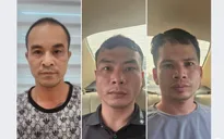 Công an Hà Nội triệt phá ổ nhóm trộm cắp, tiêu thụ hơn 300 con mèo