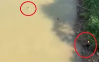 Người giao hàng lao xuống sông Sêrêpốk cứu cô gái nhảy cầu