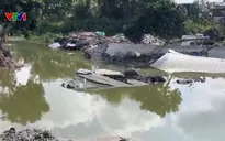 Sạt lở đường làm đê bao, cuốn trôi hàng trăm tấn cá