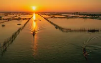 Bình minh trên phá Tam Giang: Nhịp sống thức dậy từ làn sương sớm