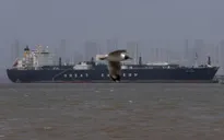 UAE: Quyền tiếp cận eo biển Hormuz phải được đảm bảo trong thỏa thuận Mỹ - Iran