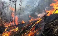 Nguy cơ cháy rừng ở mức cực kỳ nguy hiểm, nhiều địa phương tăng cường ứng phó