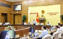 Nghị quyết phê chuẩn kết quả bầu Phó Chủ tịch HĐND các tỉnh, thành phố