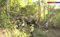 Triển khai các biện pháp phòng chống cháy rừng trong cao điểm nắng nóng