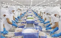 Xuất khẩu thủy sản mang về 2,64 tỷ USD sau 3 tháng