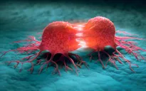 Canada phát triển vi khuẩn “ăn khối u”, mở hướng điều trị ung thư từ bên trong