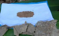 Tìm thấy hai hài cốt liệt sĩ cùng nhiều di vật tại huyện Đakrông, tỉnh Quảng Trị