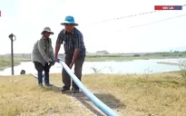 Nông dân chống hạn cứu lúa