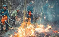 Hơn 3.500 xã, phường có nguy cơ cháy rừng cao