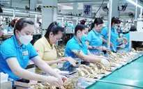 TP Hồ Chí Minh tạo việc làm cho hơn 61.800 lao động