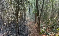 Dập tắt hoàn toàn vụ cháy rừng tại Sơn La sau 1 ngày