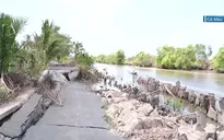 Cà Mau: Sụt lún nghiêm trọng đường giao thông nông thôn tại huyện Cái Nước