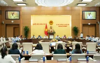 Đề xuất thí điểm chế định luật sư công tại 8 bộ, 10 tỉnh thành