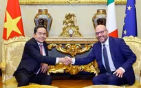 Quyết tâm làm sâu sắc và thúc đẩy thực chất hơn nữa quan hệ Việt Nam - Italy