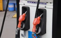 Cục Thuế triển khai chính sách về thuế đối với xăng, dầu và nhiên liệu bay