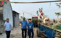 Nghệ An: Tháo dỡ ki-ốt tại điểm “nóng” tệ nạn xã hội, khai phá tiềm năng du lịch biển