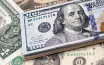 Đồng USD giảm xuống mức thấp nhất trong nhiều tuần