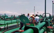 Xử phạt 165 triệu đồng và tịch thu hơn 10.000 lít dầu không rõ nguồn gốc