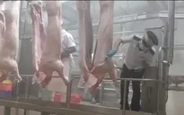 Ninh Bình chấn chỉnh công tác kiểm dịch, kiểm soát giết mổ động vật