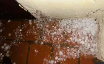 Mưa đá, dông lốc gây thiệt hại tại nhiều địa phương ở Thanh Hóa