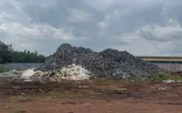 Khởi tố 2 đối tượng đổ hơn 567 tấn da bò phế thải ra môi trường