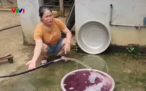 Nước giếng khoan ở thôn Quảng Trung (Thanh Hóa) đổi màu tím, hôi tanh