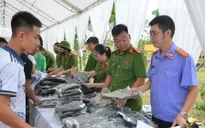 VKSND Tối cao sẽ kiểm tra thực hiện công tác đặc xá tại một số địa phương, cơ sở giam giữ