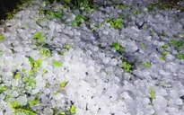 Các địa phương chủ động ứng phó với lốc, sét, mưa đá và gió mạnh trên biển