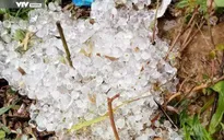 Quảng Ninh hỏa tốc chỉ đạo ứng phó không khí lạnh, lốc xoáy và mưa đá