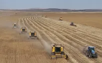 Nguy cơ thiếu hụt lương thực toàn cầu do xung đột Iran