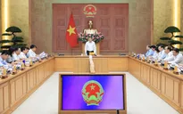 Thủ tướng: Tái cơ cấu hệ thống kinh doanh, phân phối xăng dầu