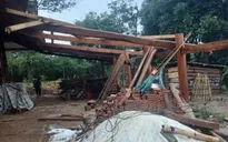Mưa đá kèm dông lốc gây thiệt hại tại xã Pu Nhi, Điện Biên