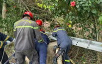 Giải cứu người rơi giếng sâu 35m ở TP Hồ Chí Minh
