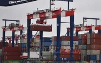 EU sẵn sàng “mọi kịch bản” trước cảnh báo của Mỹ về tăng thuế ô tô