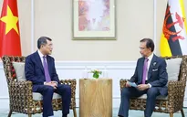 Triển khai hiệu quả quan hệ Đối tác toàn diện Việt Nam - Brunei