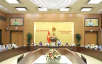 Nghị quyết của Ủy ban Thường vụ Quốc hội về công tác cán bộ
