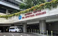Kết quả xét nghiệm hantavirus của 2 hành khách Singapore trên du thuyền quốc tế