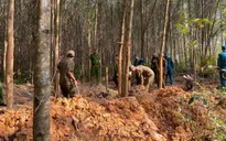 Đà Nẵng: Truy quét, ngăn chặn hoạt động khai thác vàng trái phép