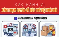 [Infographic] Các hành vi nào xâm phạm quyền sở hữu trí tuệ?