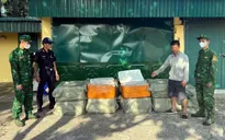 Phát hiện bè mảng chở 850 kg nầm lợn đông lạnh nhập lậu