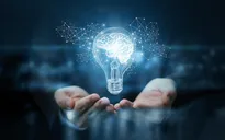 Bảo vệ quyền sở hữu trí tuệ: Dùng thị trường để giải quyết "bài toán" thị trường