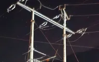 Trèo cột điện lấy tổ chim, một học sinh ở Lào Cai bị điện giật tử vong