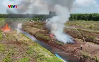 Mưa trái mùa ở Cà Mau làm tăng nguy cơ cháy rừng