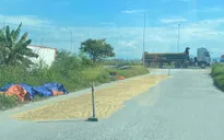 Cảnh báo nguy cơ cháy do phơi, đốt rơm rạ mùa thu hoạch lúa