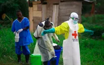 WHO cảnh báo dịch Ebola ở Congo là tình trạng khẩn cấp về sức khỏe cộng đồng