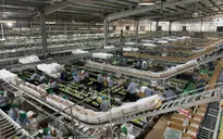 Nông nghiệp CNC: Cuộc chơi lớn trên cánh đồng Việt