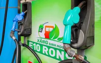Từ 1/6, ngoài xăng E10, người dân có thể lựa chọn xăng nào khác?