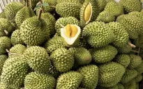 Sầu riêng ASEAN đổ bộ thị trường Trung Quốc